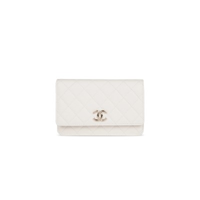 CHANEL WALLET ON CHAIN WOC AP3127 (19*12*4cm)